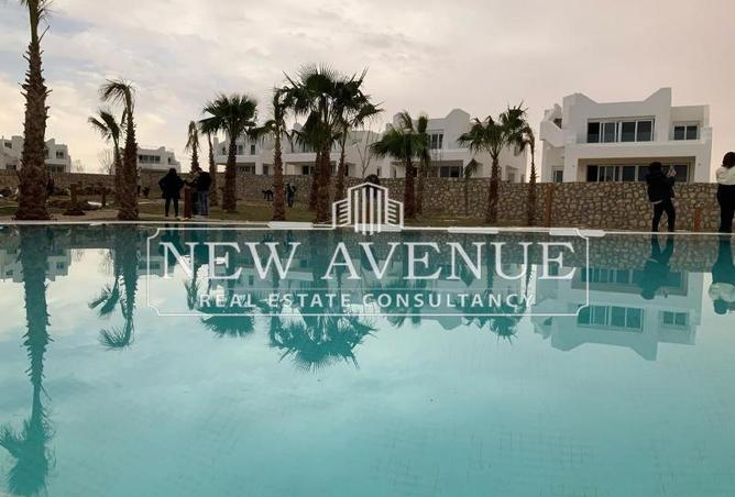 8090084 - Property Image 3