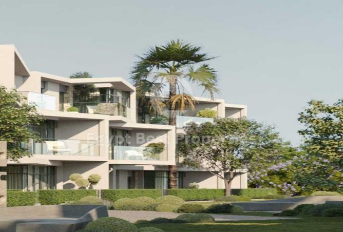 8432431 - صورة العقار 3