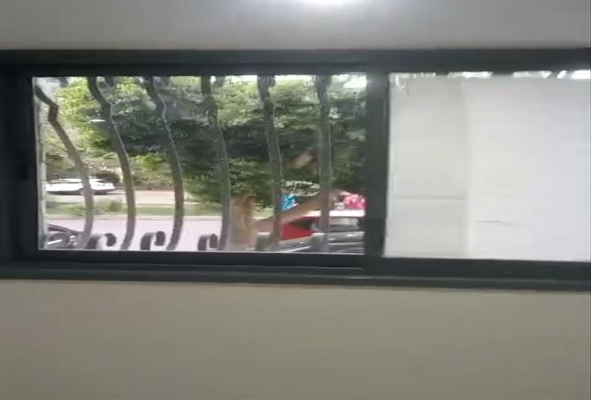 8389582 - Property Image 3