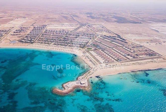 7906035 - صورة العقار 3