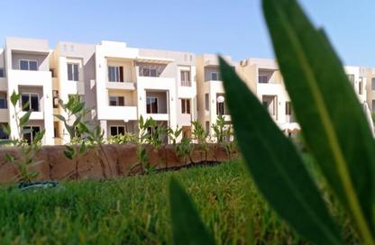 Chalet - 2 Bedrooms - 1 Bathroom for sale in Lasirena Bay - Ras Sedr - South Sainai