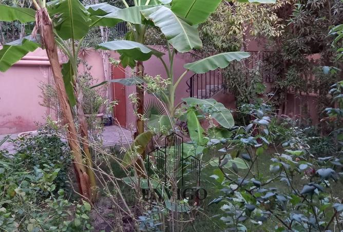 8100137 - Property Image 2
