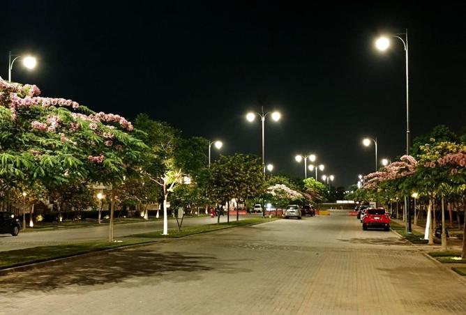 7939338 - صورة العقار 3