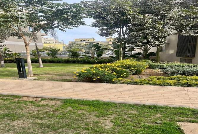 8257264 - Property Image 3