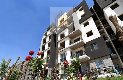 Apartment - 3 Bedrooms - 3 Bathrooms for sale in New Mansoura - Al Daqahlya