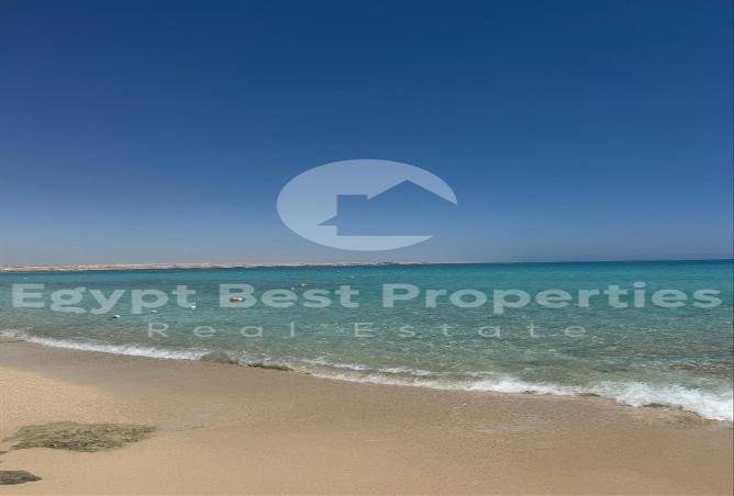 7939311 - صورة العقار 3
