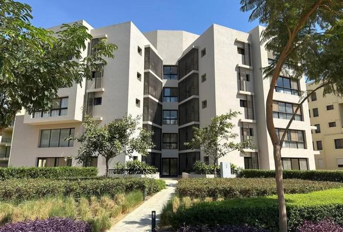8091901 - Property Image 2