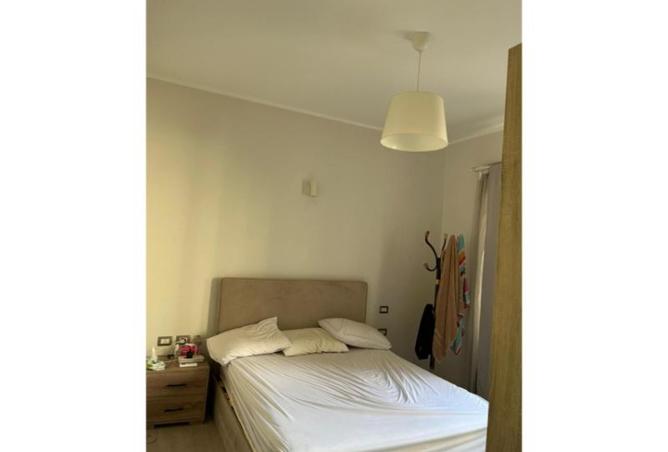 8105116 - Property Image 2