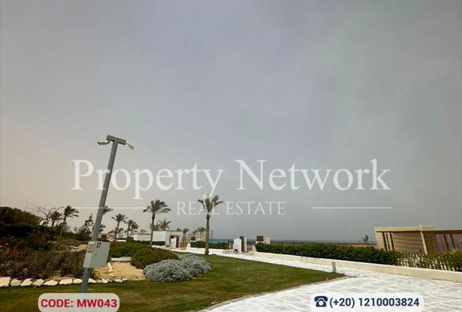 8308834 - صورة العقار 3