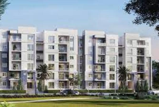 8272558 - Property Image 3