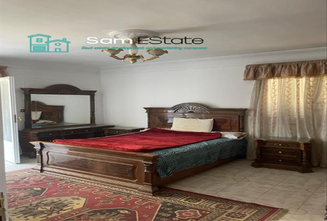 7976019 - Property Image 3