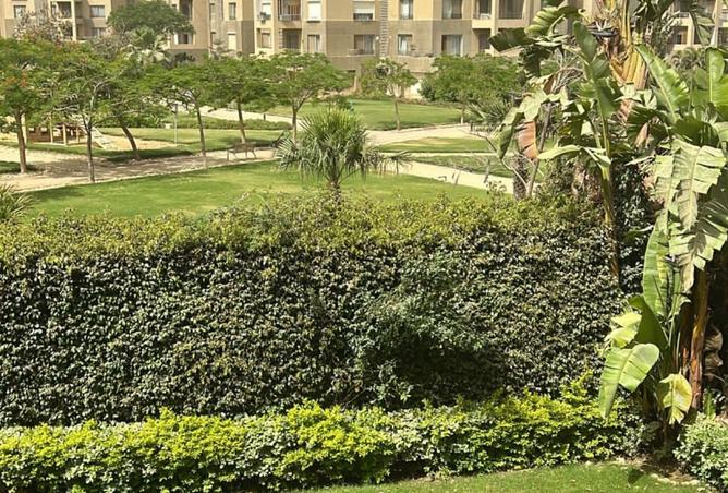 8248436 - صورة العقار 3