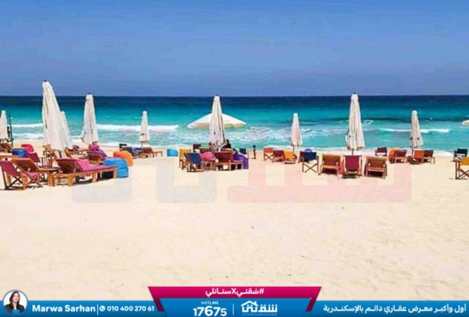 8362695 - Property Image 3