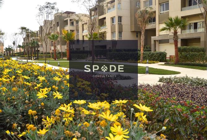 8518550 - صورة العقار 3