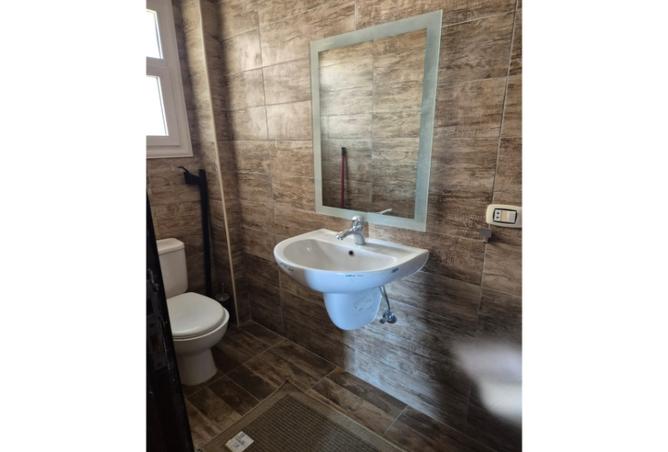 8176818 - صورة العقار 2