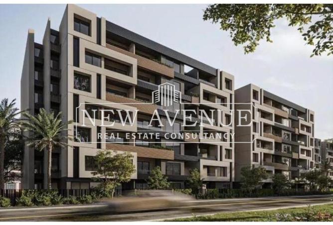 8472597 - Property Image 2