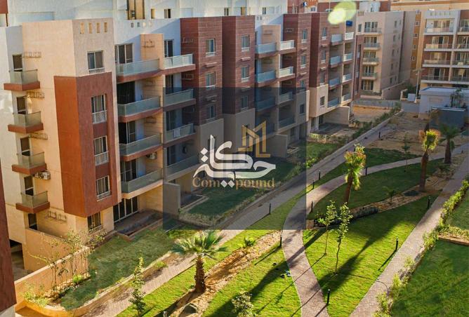 8393894 - Property Image 3