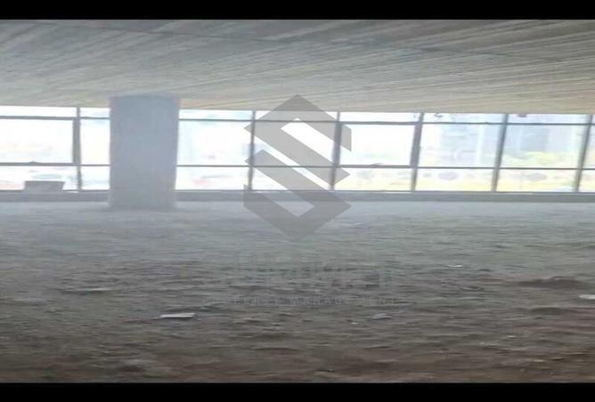 8081181 - صورة العقار 2