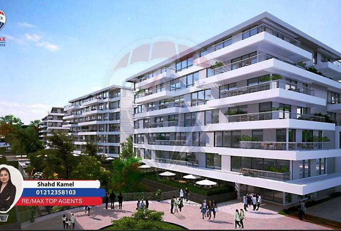 8385941 - Property Image 2