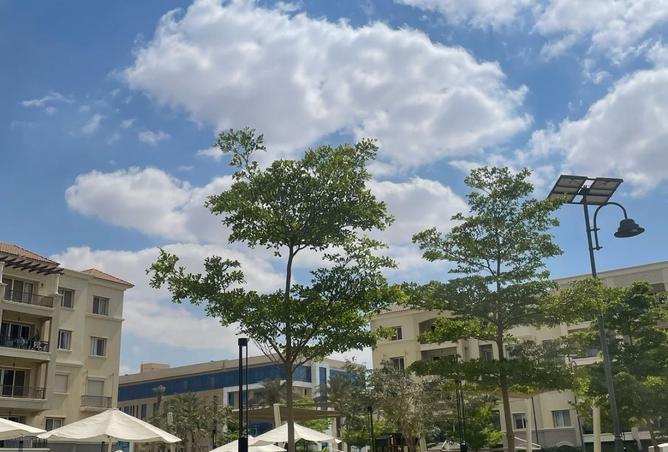 7892670 - Property Image 3
