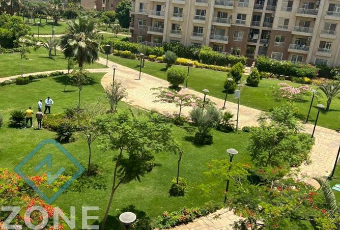 8257374 - Property Image 2