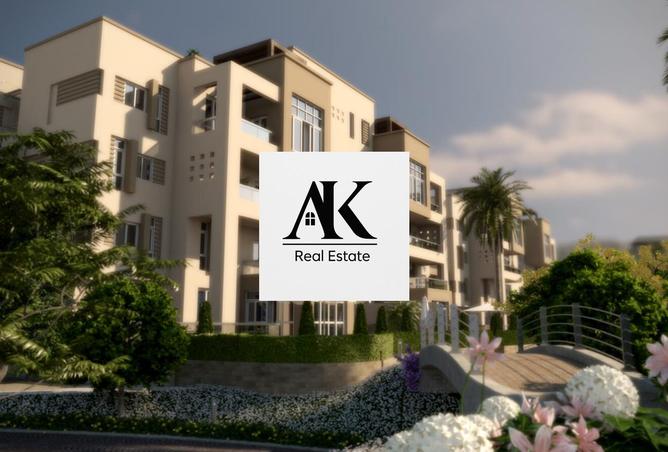 8419117 - Property Image 3