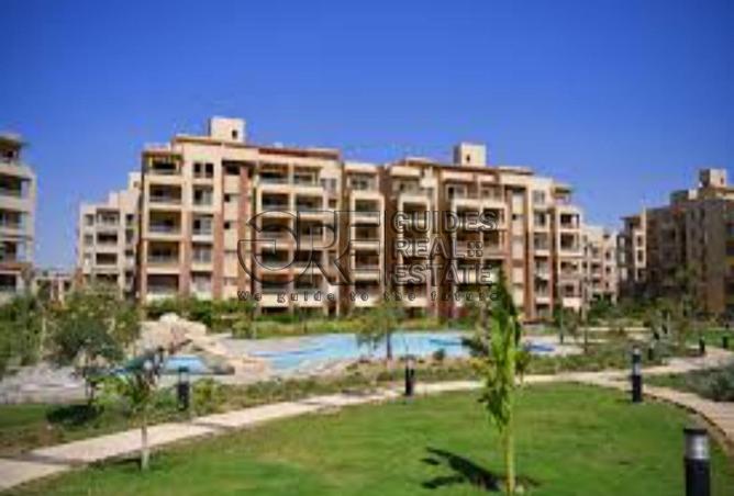 8491107 - Property Image 3