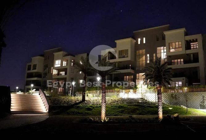 7977851 - صورة العقار 3