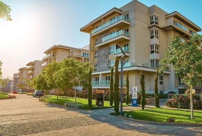 8241765 - Property Image 3