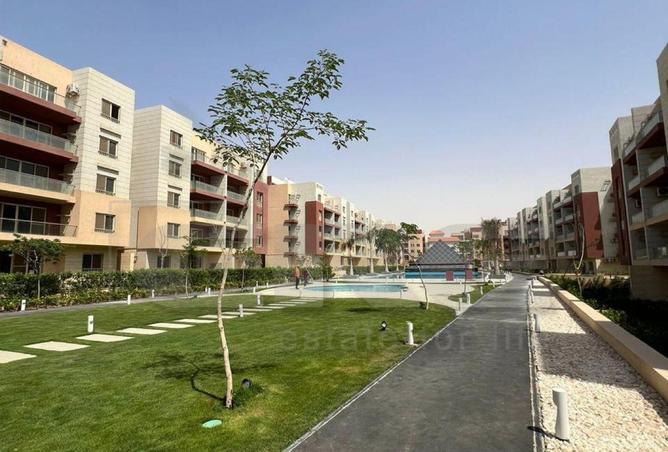 8269185 - Property Image 3