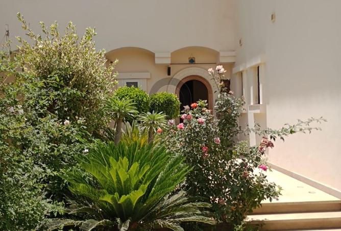 8242588 - صورة العقار 3