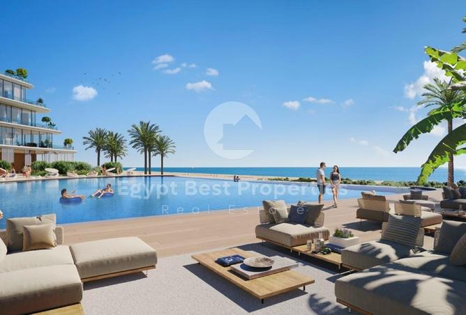 7923790 - Property Image 3