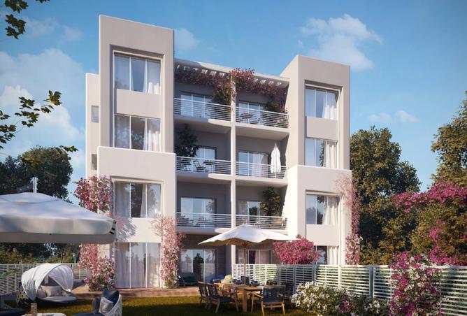 8019020 - Property Image 3