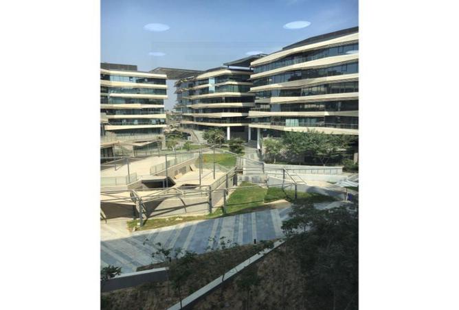 7993264 - Property Image 3