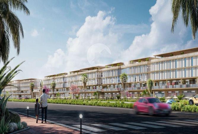 8057272 - Property Image 3
