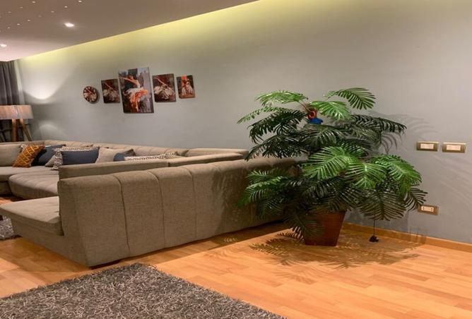 8401620 - Property Image 2