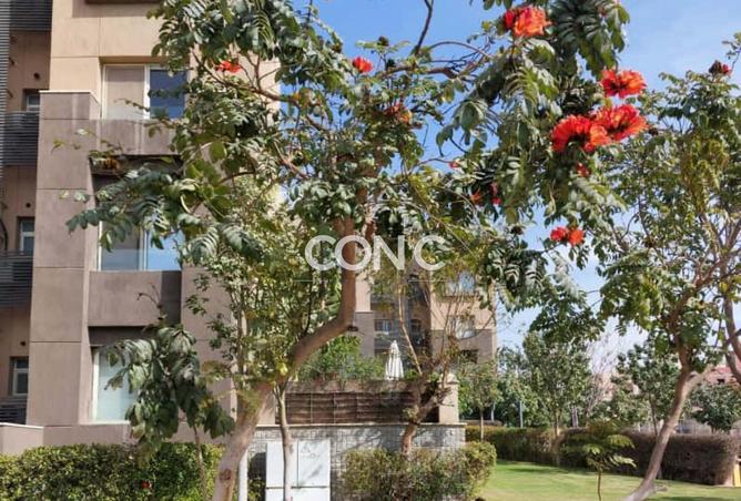 8453360 - صورة العقار 3