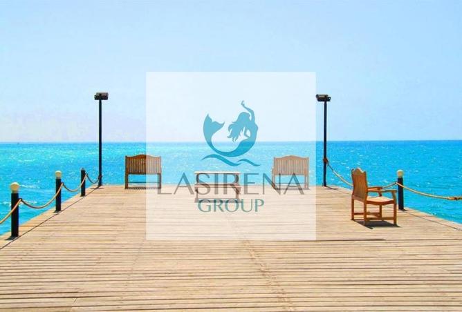 8428785 - Property Image 3