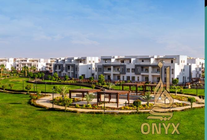 8326658 - Property Image 3