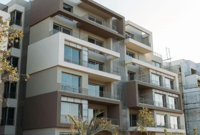 8339677 - Property Image 3