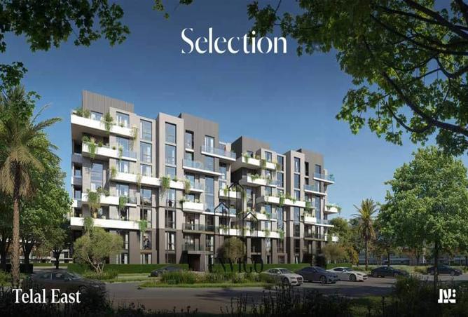 7967671 - Property Image 3