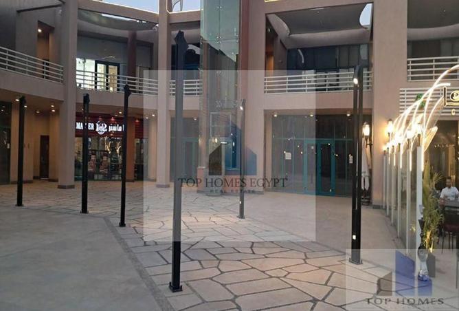 8320476 - Property Image 3