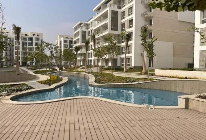 8146049 - Property Image 3