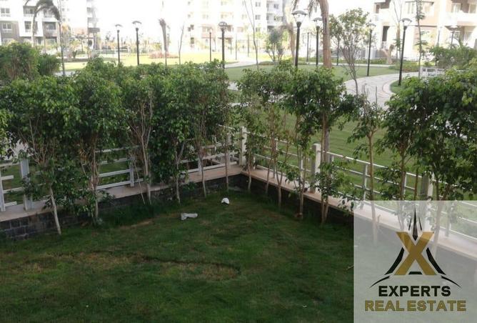 7904638 - الصورة الرئيسية للعقار