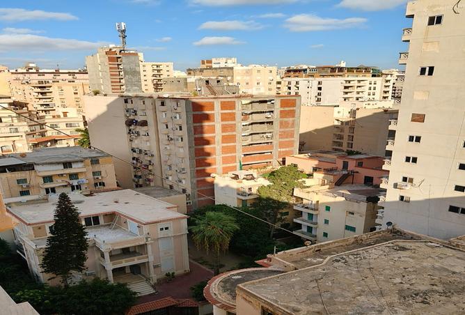 7985397 - Property Image 2