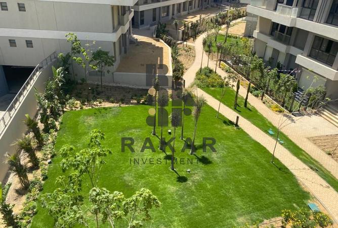 8132766 - Property Image 3