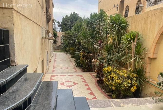 8316803 - صورة العقار 3