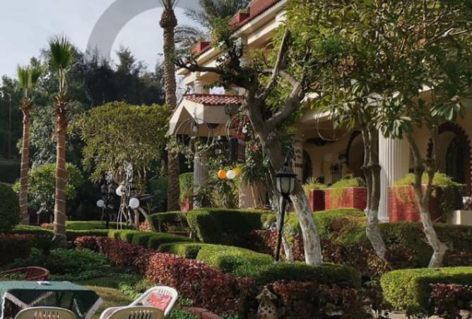 8219039 - الصورة الرئيسية للعقار