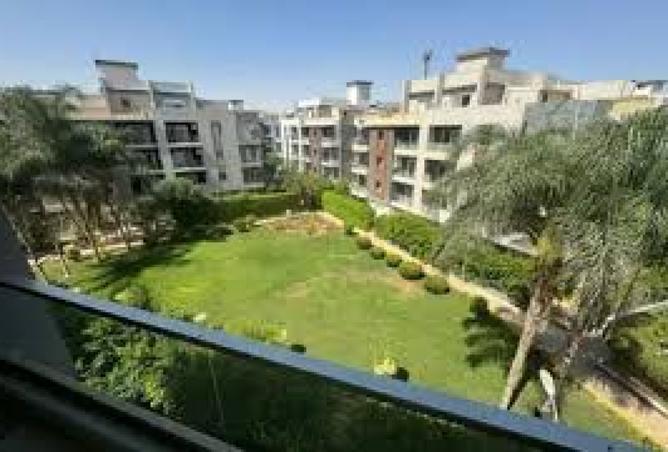 8384248 - Property Image 3