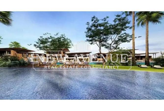 7934496 - Property Image 3